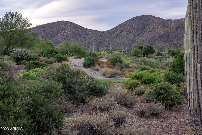 8-web-or-mls-D46A6953