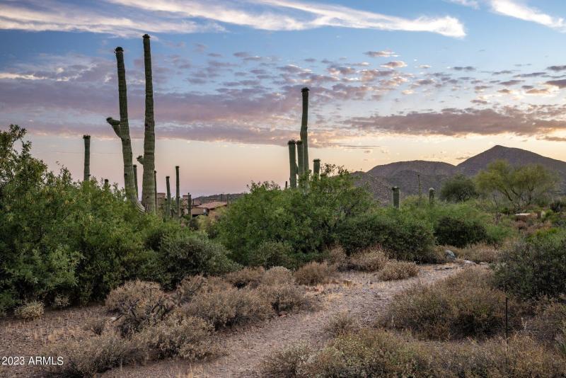 1-web-or-mls-D46A6975