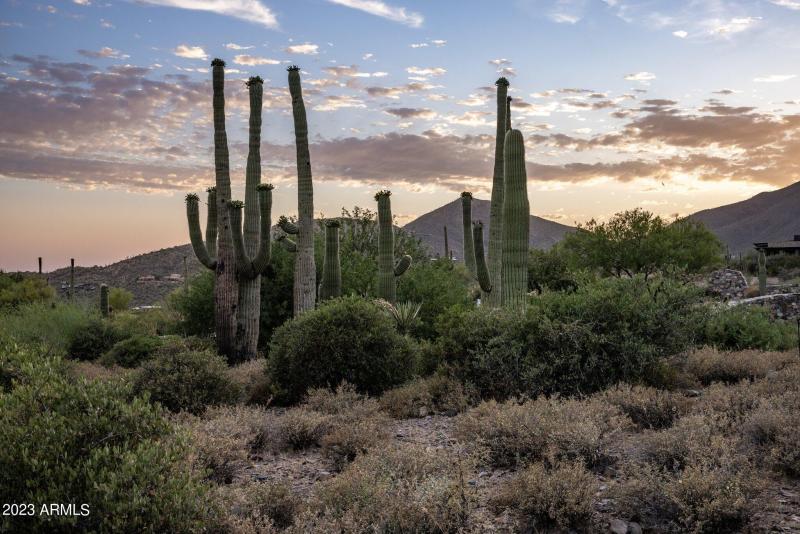 7-web-or-mls-D46A6947