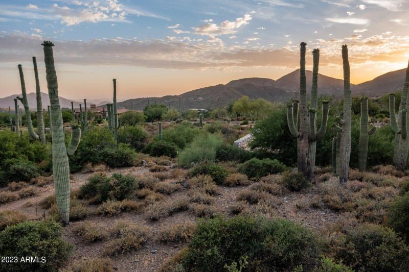 25-web-or-mls-DJI_0157