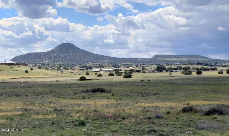 Hwy 288 14 Acres Looking West