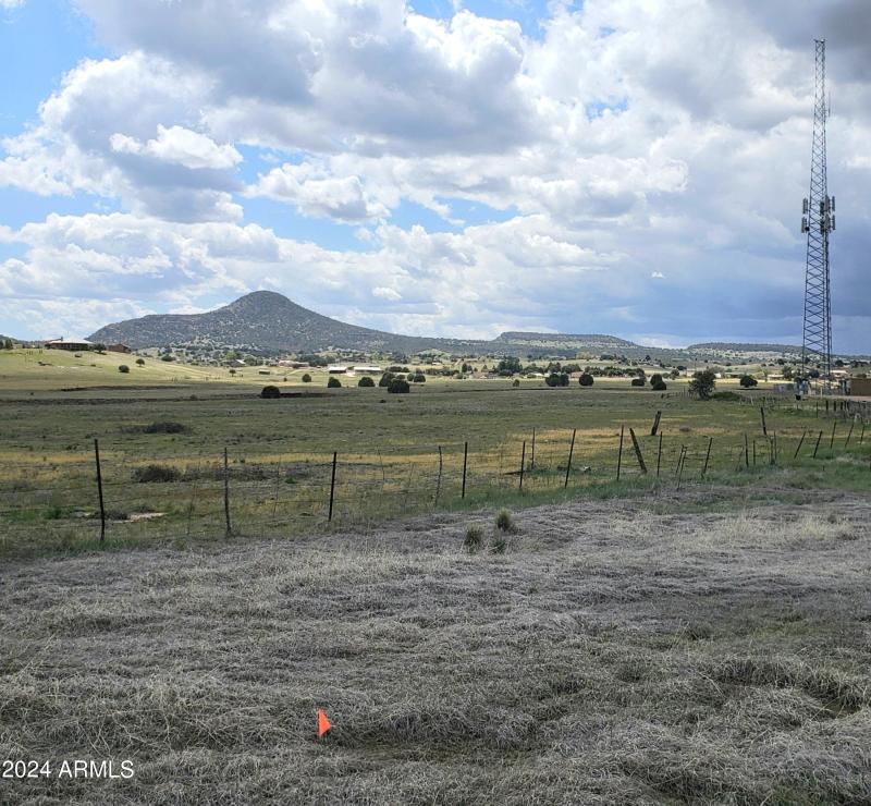 Hwy 288 14 Acres NE Corner