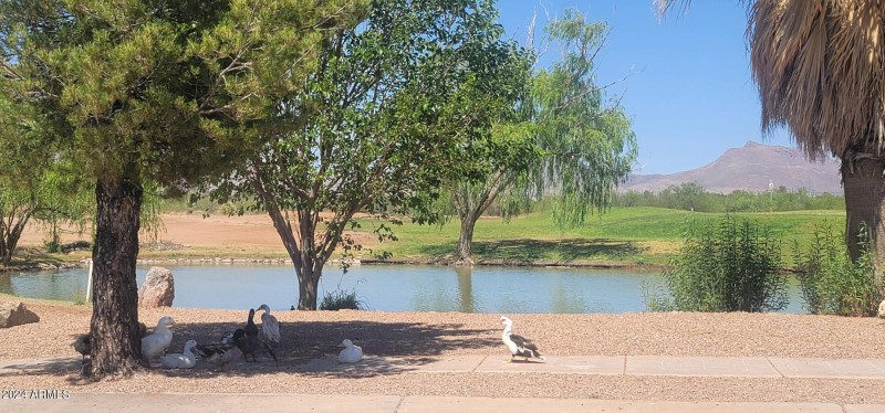 Perilla visitors greeting crew.