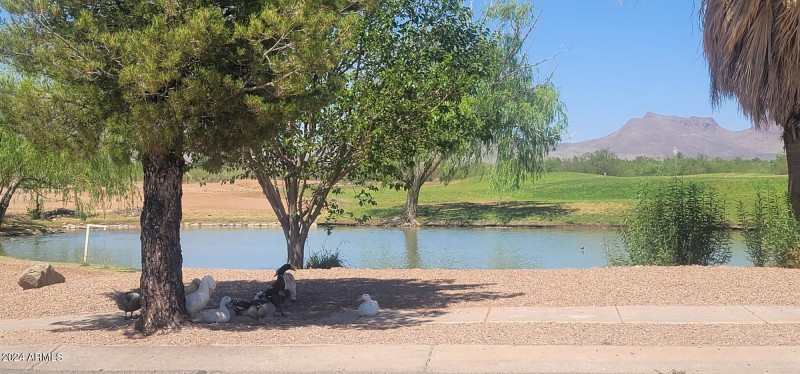 Perilla lake & trees