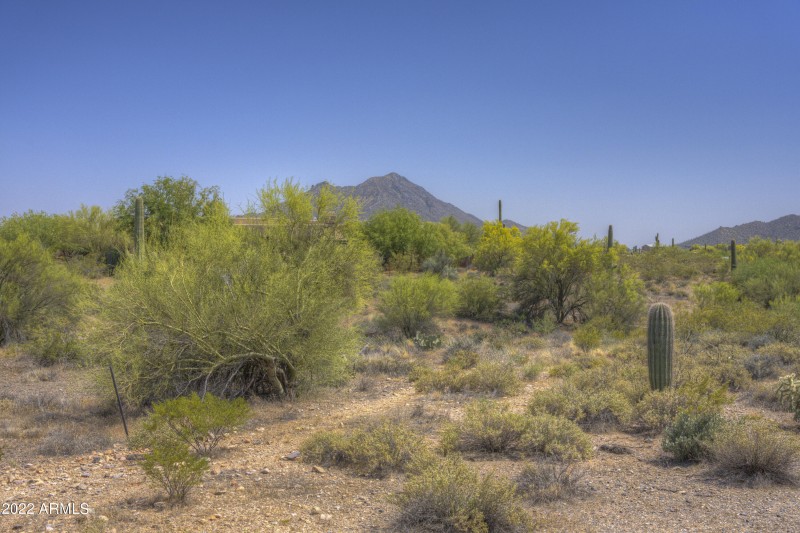 South View From Building Site