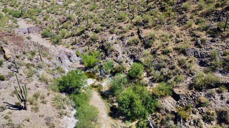 Favorites - 51 of 58