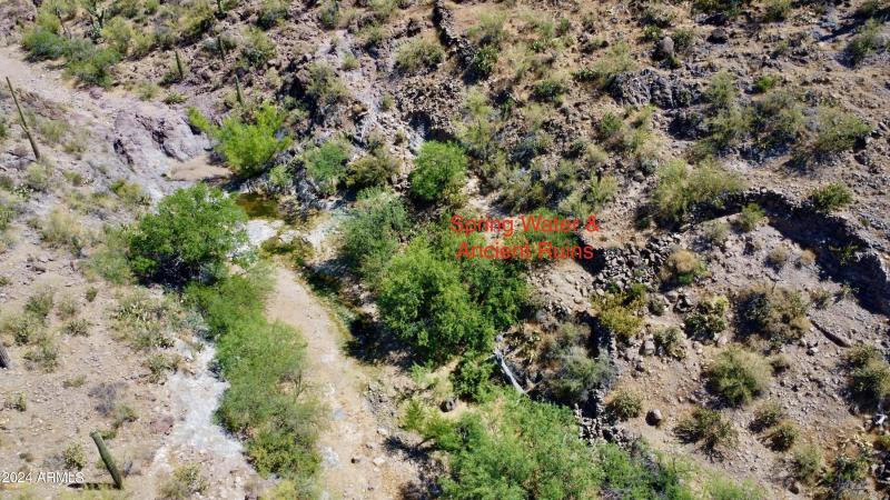 Favorites - 50 of 58