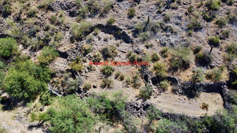 Favorites - 49 of 58