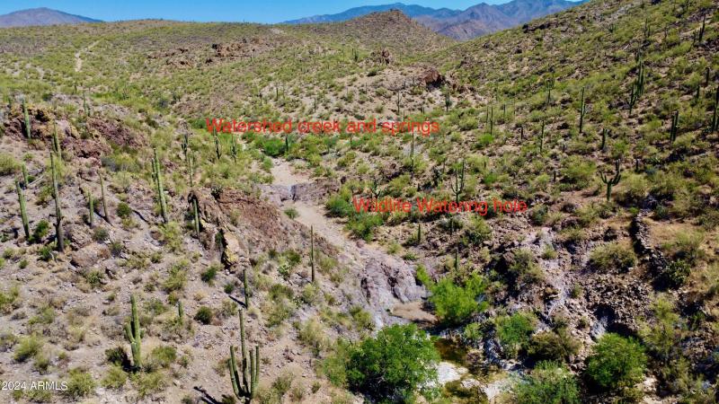 Favorites - 53 of 58