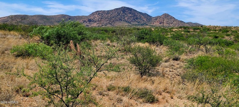 Lot 116 West Stetson Drive