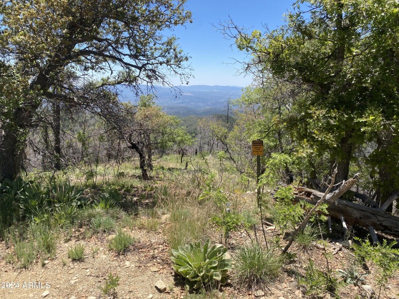 borders national forest