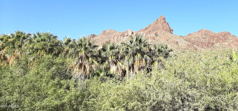 road view alkali springs