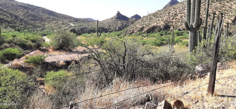 looking toward alkali springs