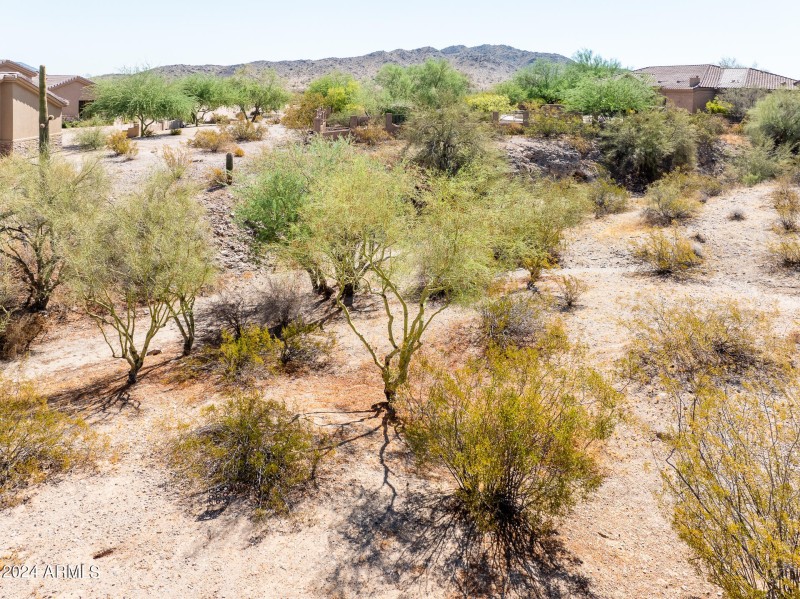 Desert Landscape By Design