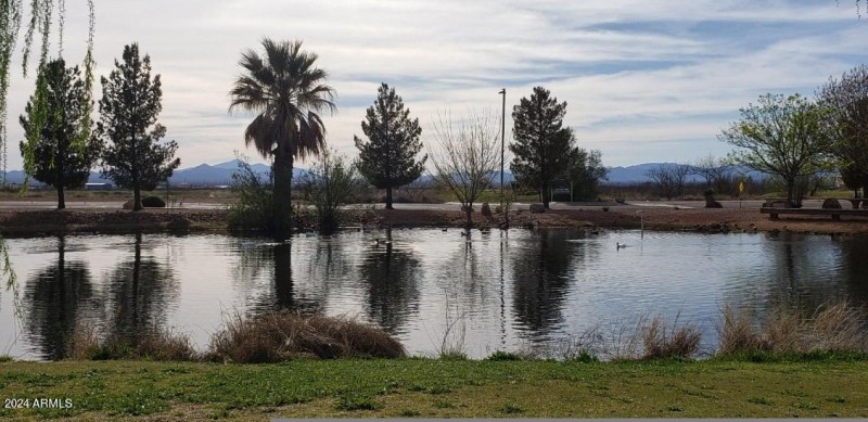 3731 CR lake trees