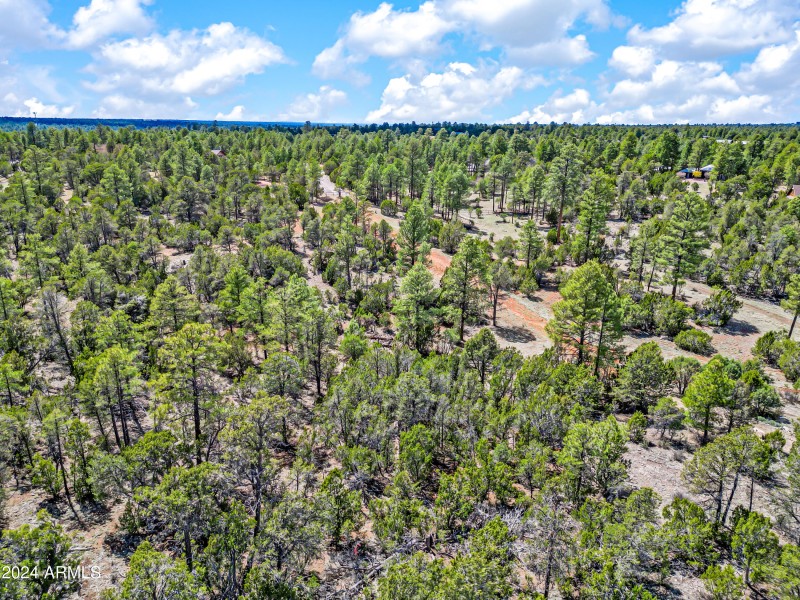 20-BootleggerABC-ocupix