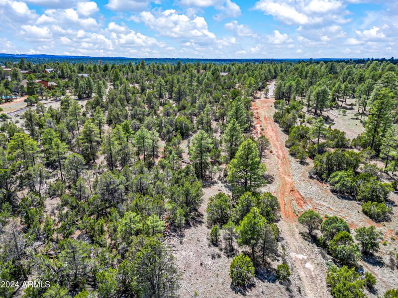 19-BootleggerABC-ocupix