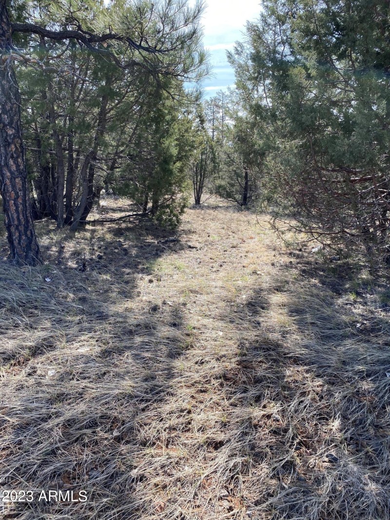 5481 Red Squirrel Lane 3