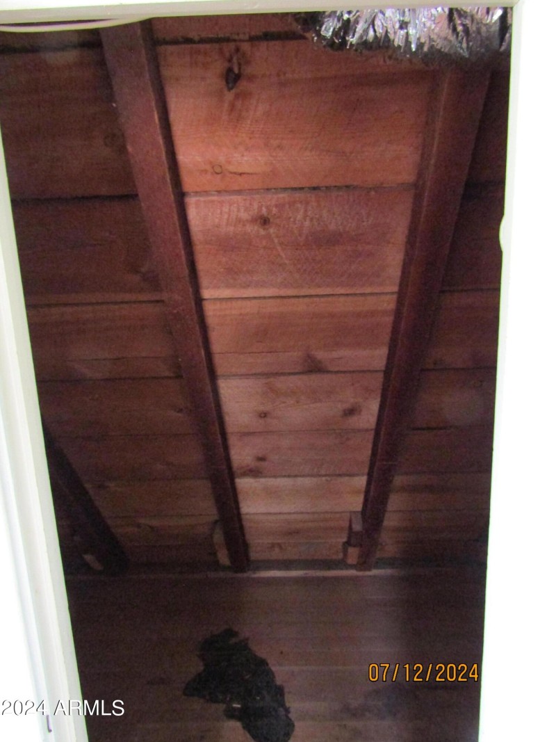 eave storage closet