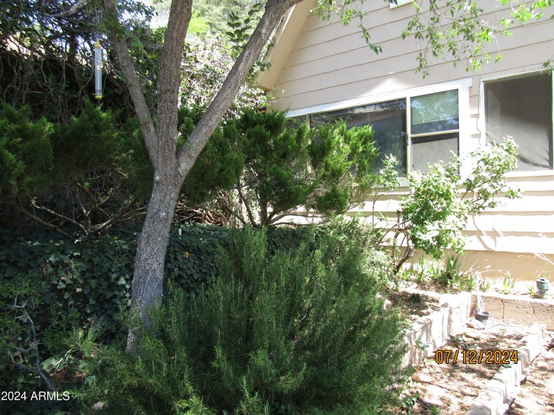 side yard shrubberies