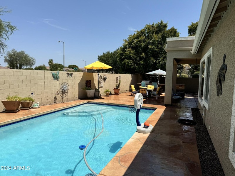 backyard3