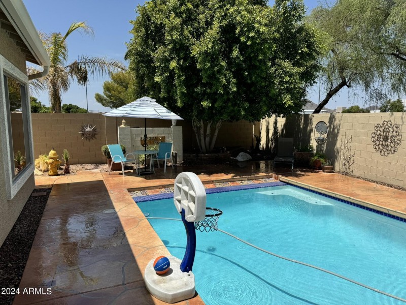 backyard4
