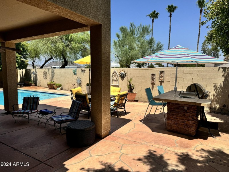 backyard6