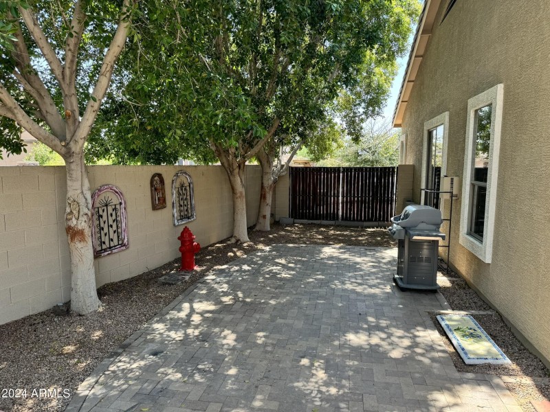 backyard7