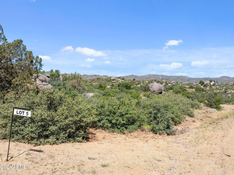 42-web-or-mls-2024-06-28 09.59.40-3