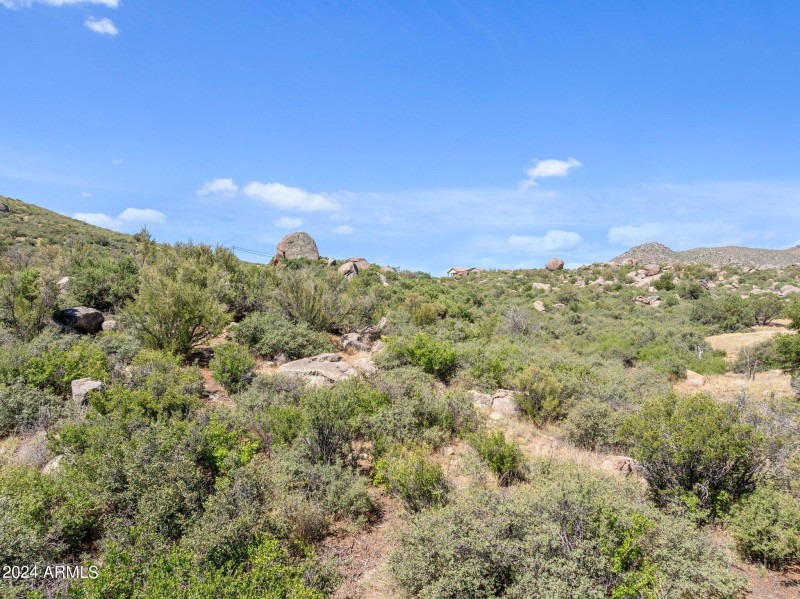 48-web-or-mls-2024-06-28 09.57.46-3