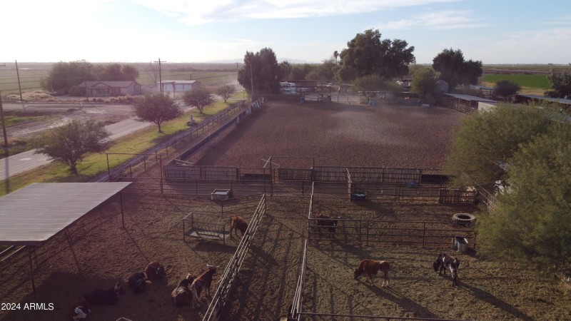 DJI_0286