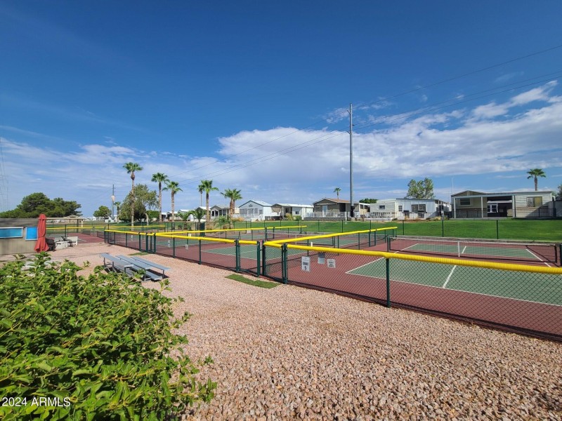 Viewpoint Pickle Ball 1