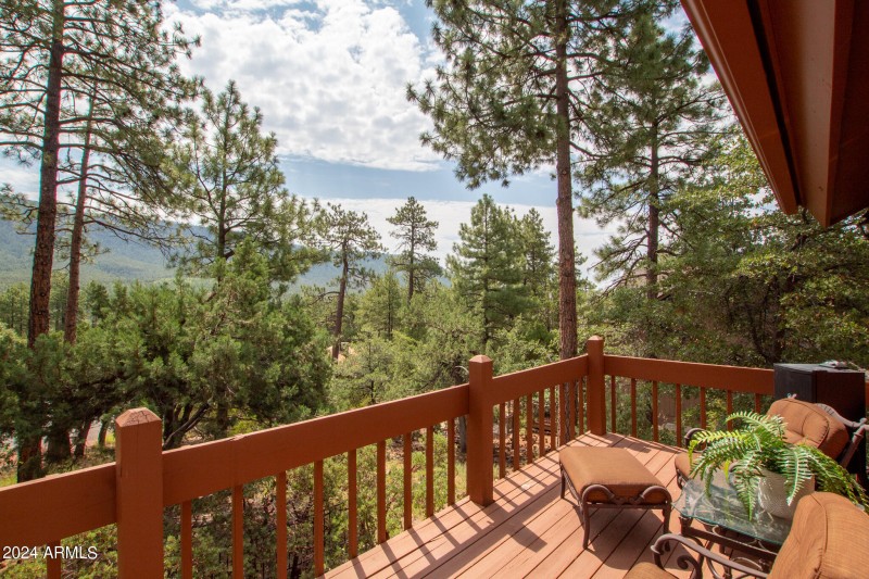 Juniper Loop MLS-55