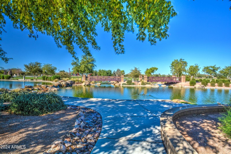 community-park-12