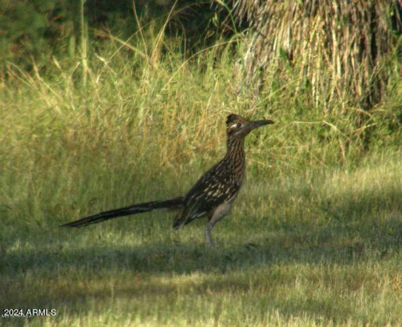 20210116192426916591000000-o