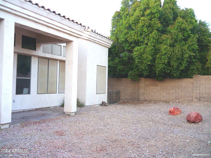 Back yard