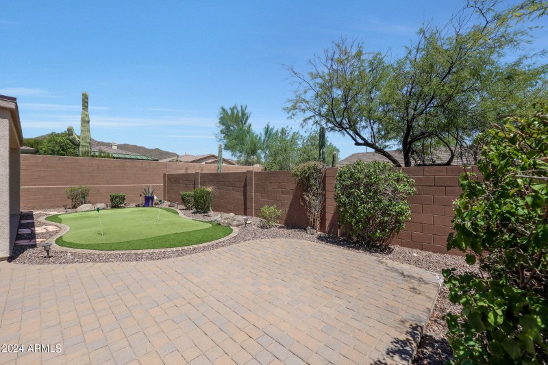 40 Backyard