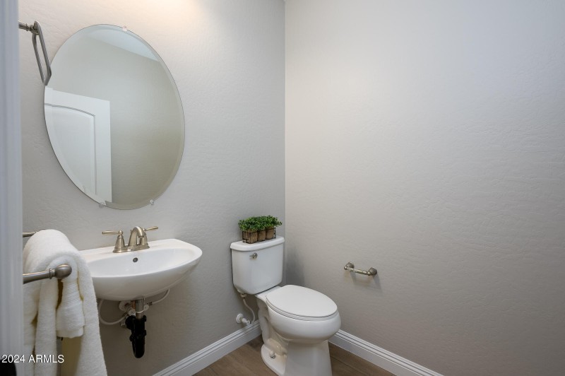 Downstairs Powder Room
