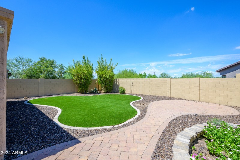 Backyard view