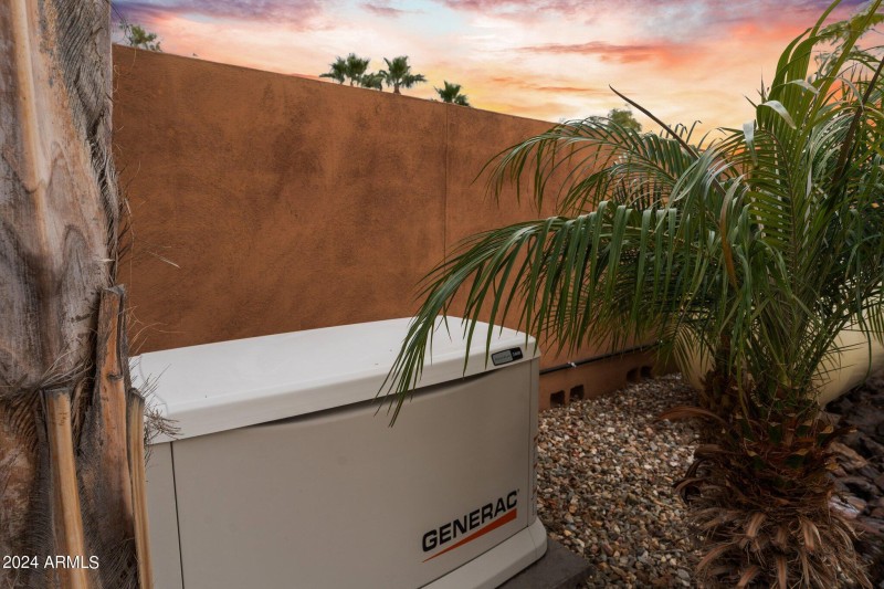 Whole Home Generator