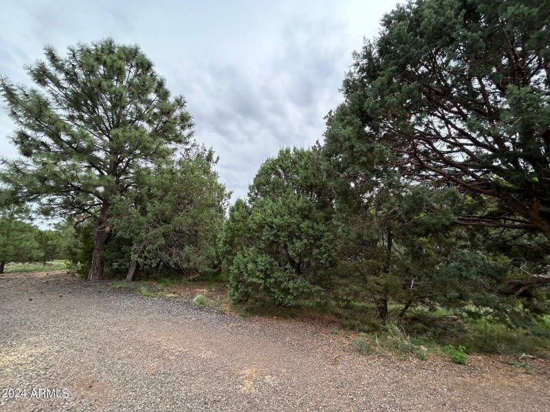 drive way