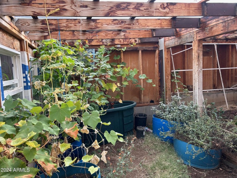 greenhouse 2