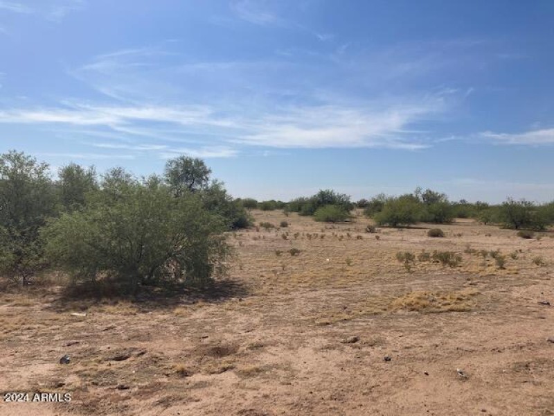 Lookinng south across property 002K