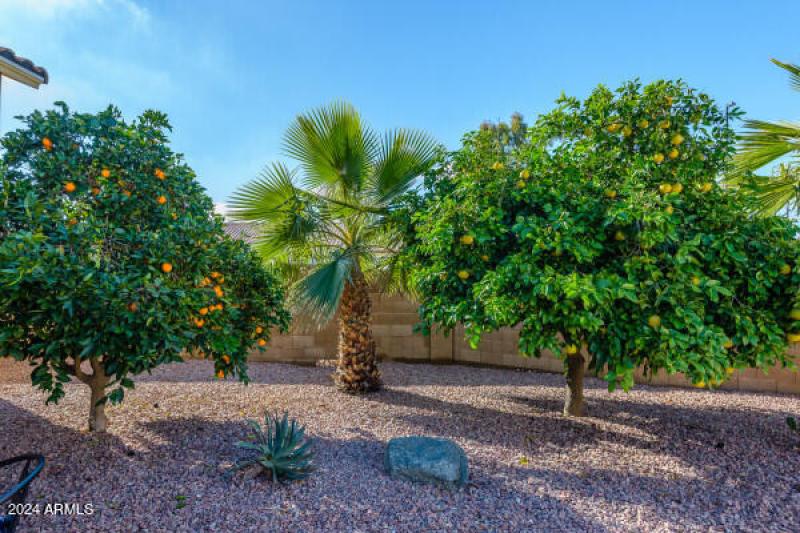 46095-135424-5jMU----0ecWtIG3MmGVBjCCo23