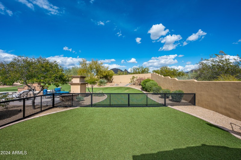 Dog play area