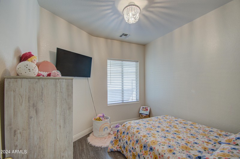 Den-pic 1