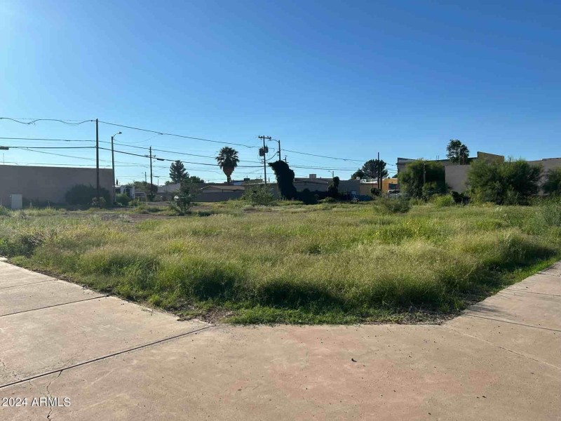 520651725549572_55532f4ffa (1)