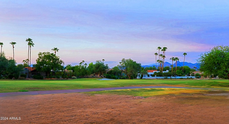 Backyard Views 2