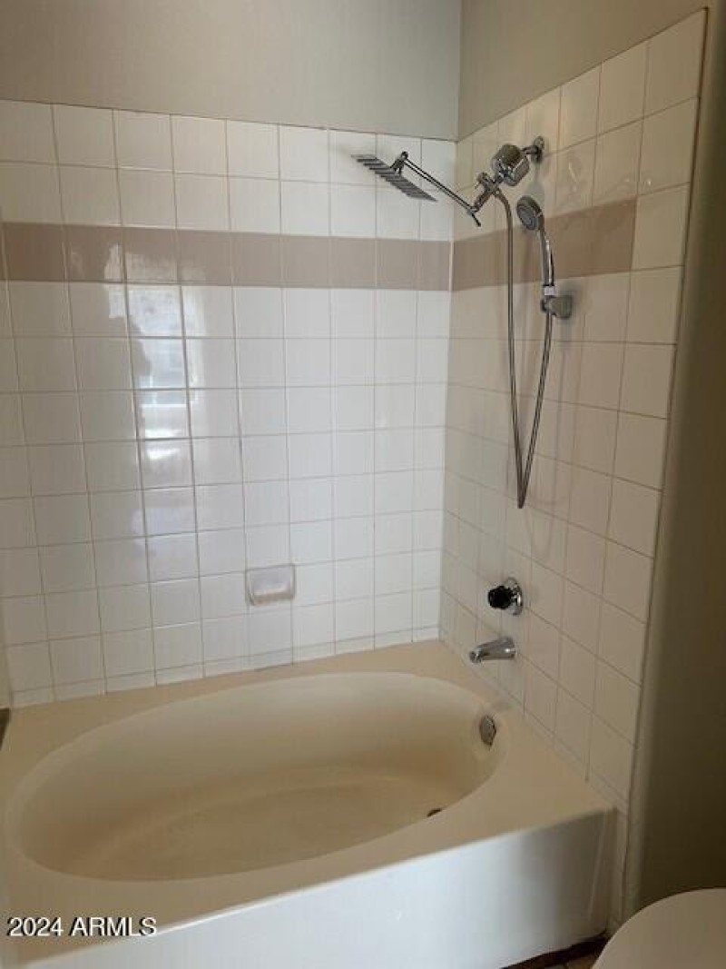 Master Shower-Tub