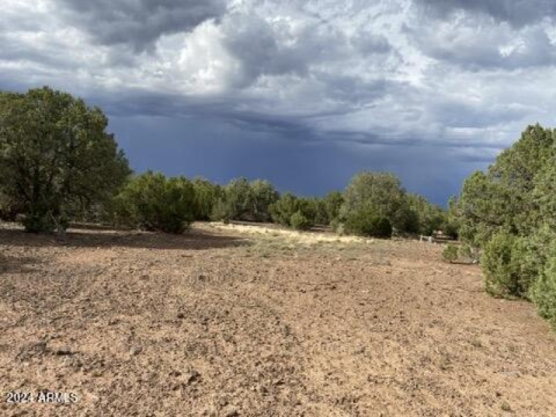 5E33F50D-73E0-4F64-8B4D-ECEE19BCFE4C_4_5